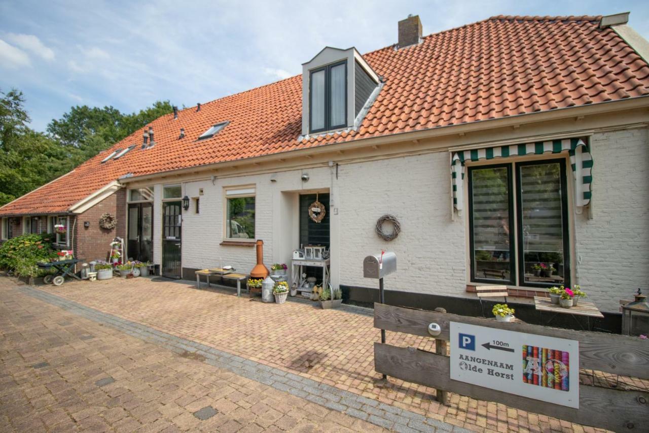 B&B Aangenaam - Olde Horst Diever Zewnętrze zdjęcie
